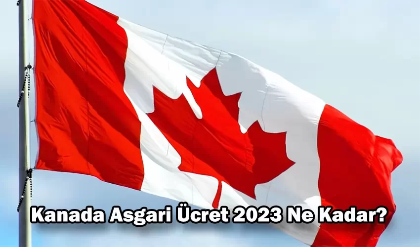 kanada asgari ucret 2023 ne kadar e1674335486158